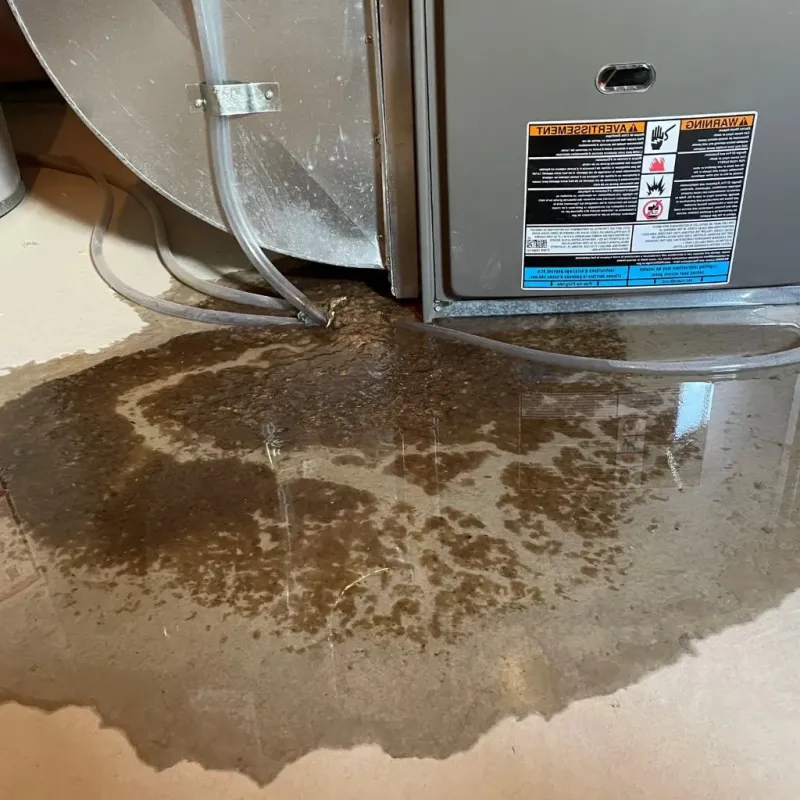 Pipe Burst and Leak Restoration in Rockland County, NY